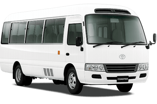 Coaster Bus - Standard